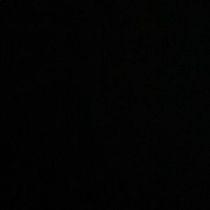 Meet your Posher, Riley